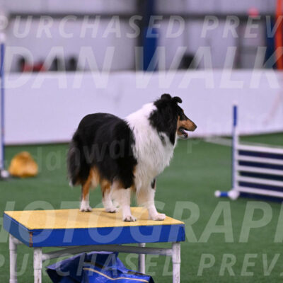 Skye-Vicki-Searles-24094