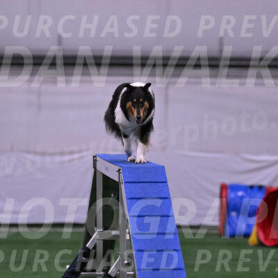 Skye-Vicki-Searles-24096