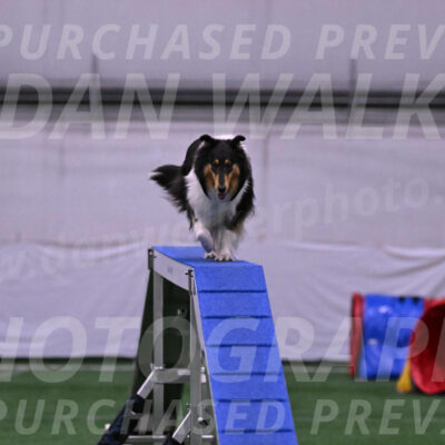 Skye-Vicki-Searles-24097