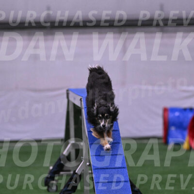 Slider-Cheryl-Minichiello-R-06722