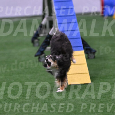 Slider-Cheryl-Minichiello-R-06724