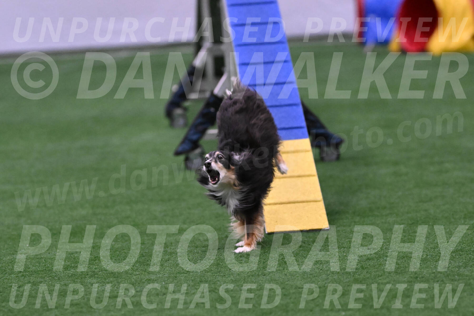 Slider-Cheryl-Minichiello-R-06724