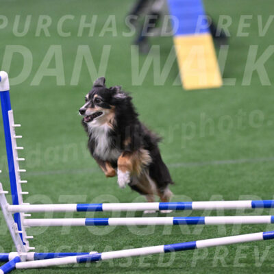 Slider-Cheryl-Minichiello-R-06728