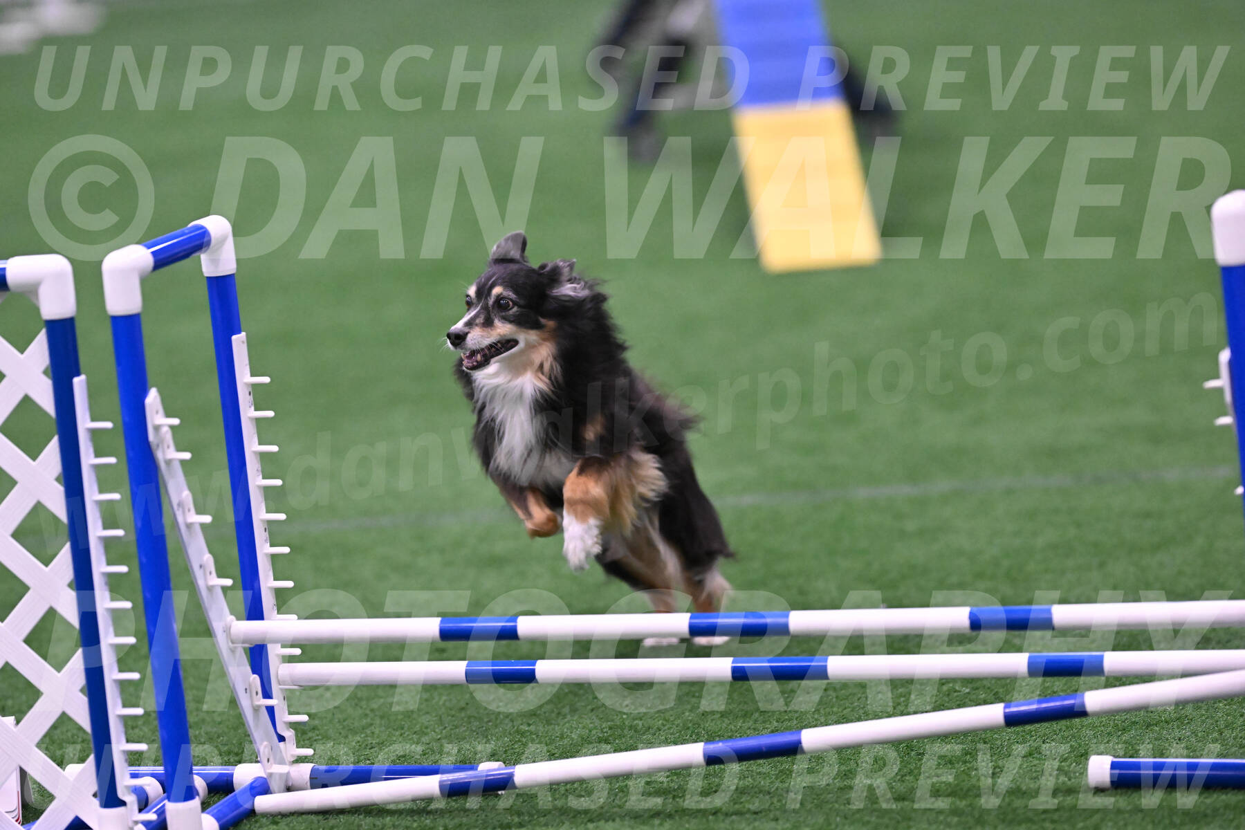 Slider-Cheryl-Minichiello-R-06728