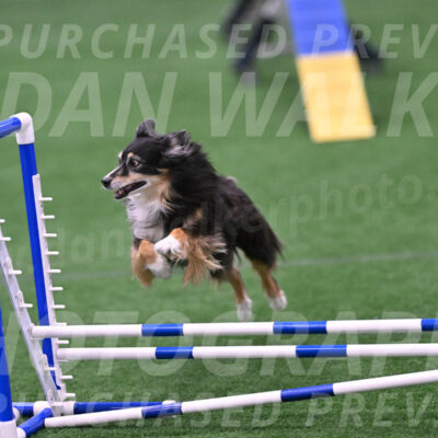 Slider-Cheryl-Minichiello-R-06729