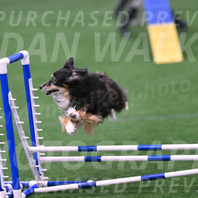 Slider-Cheryl-Minichiello-R-06730