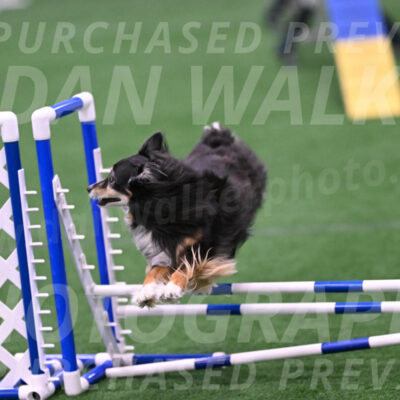 Slider-Cheryl-Minichiello-R-06731