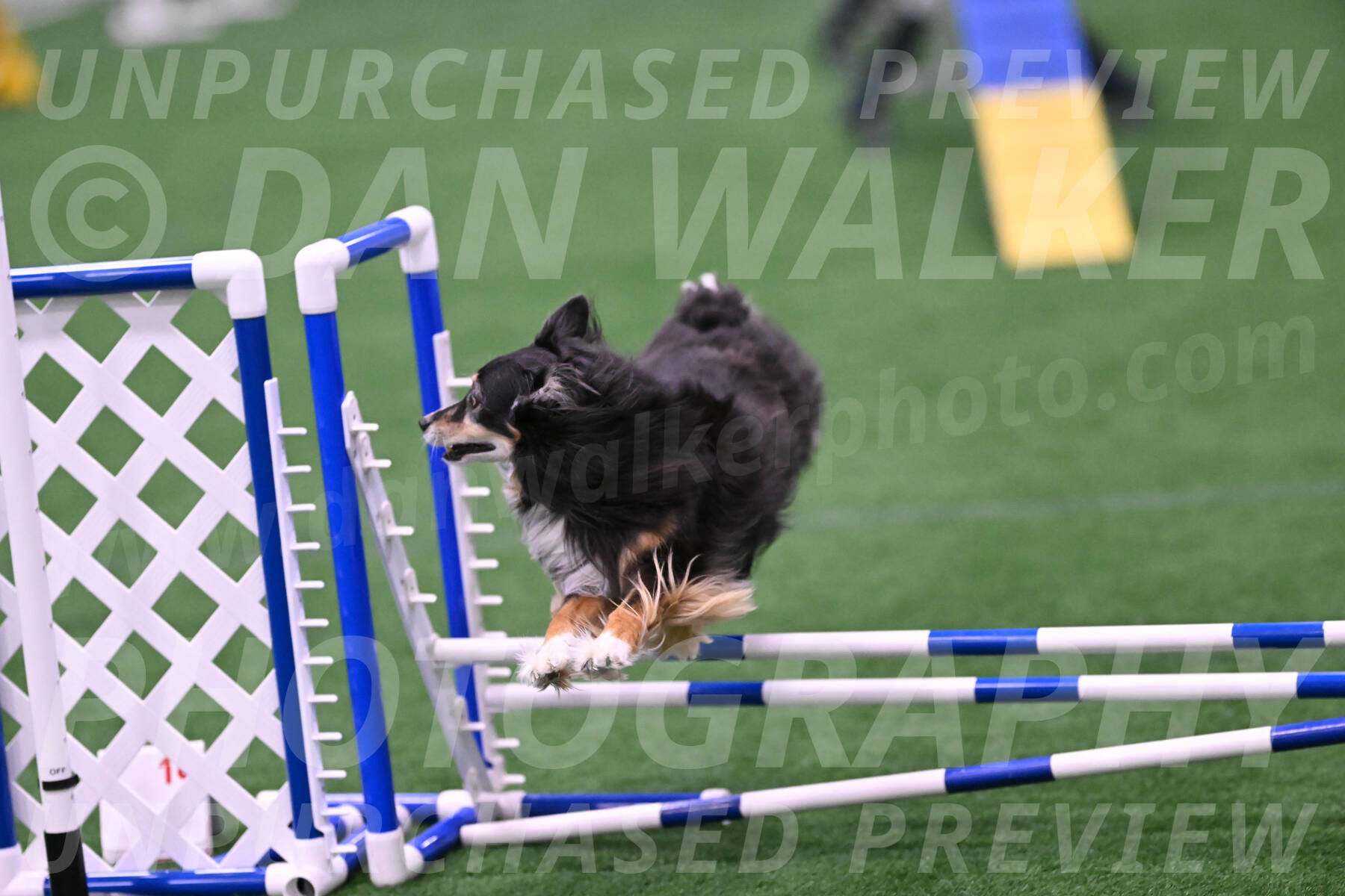 Slider-Cheryl-Minichiello-R-06731
