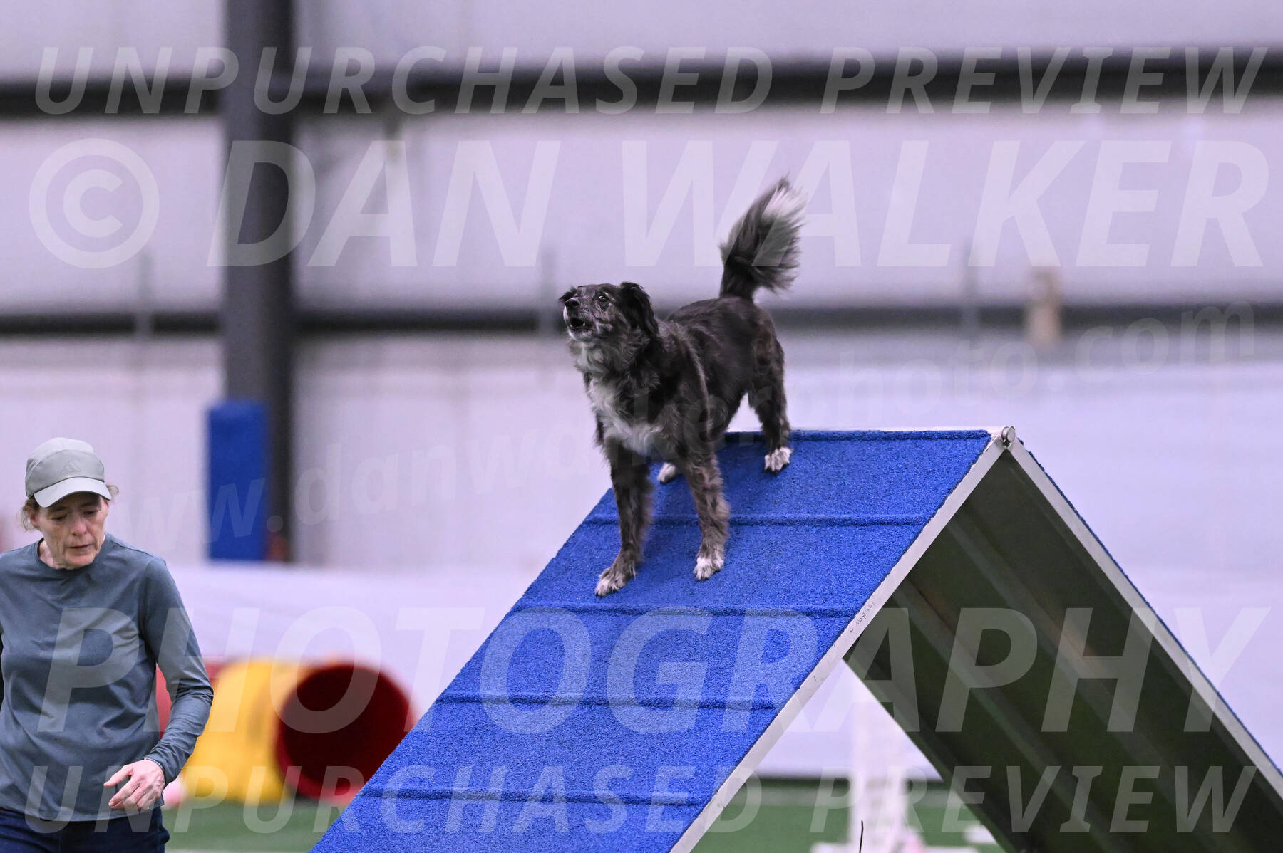 smokey-Mary-Zak-06985