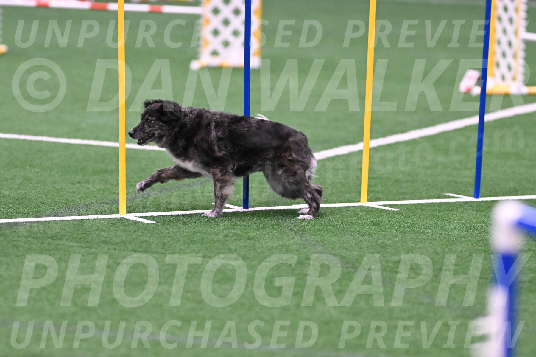 smokey-Mary-Zak-07042