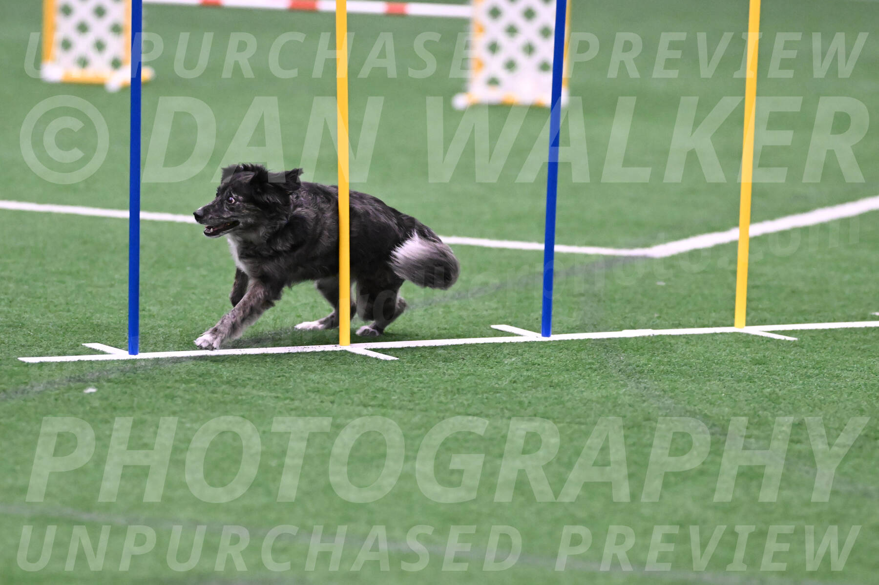 smokey-Mary-Zak-07045