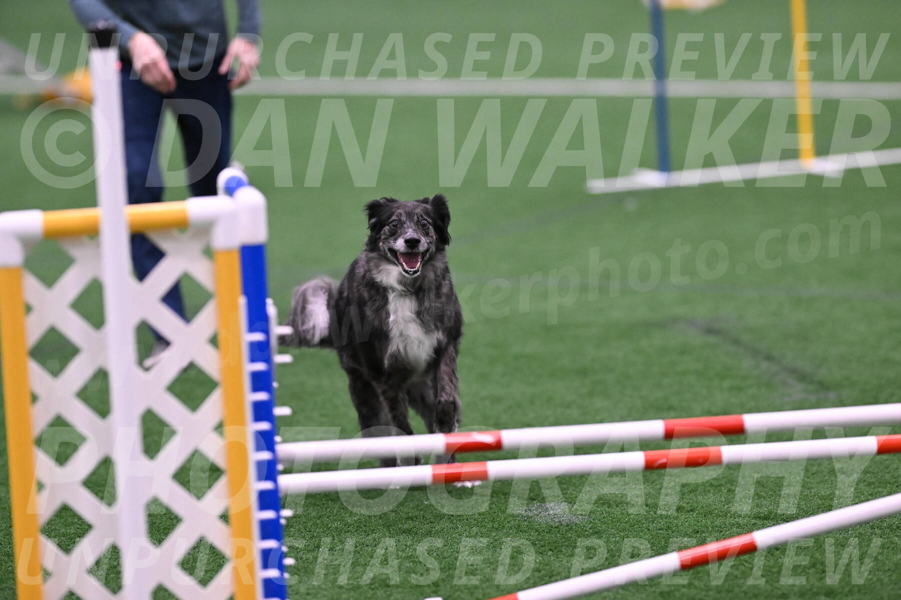 smokey-Mary-Zak-07049