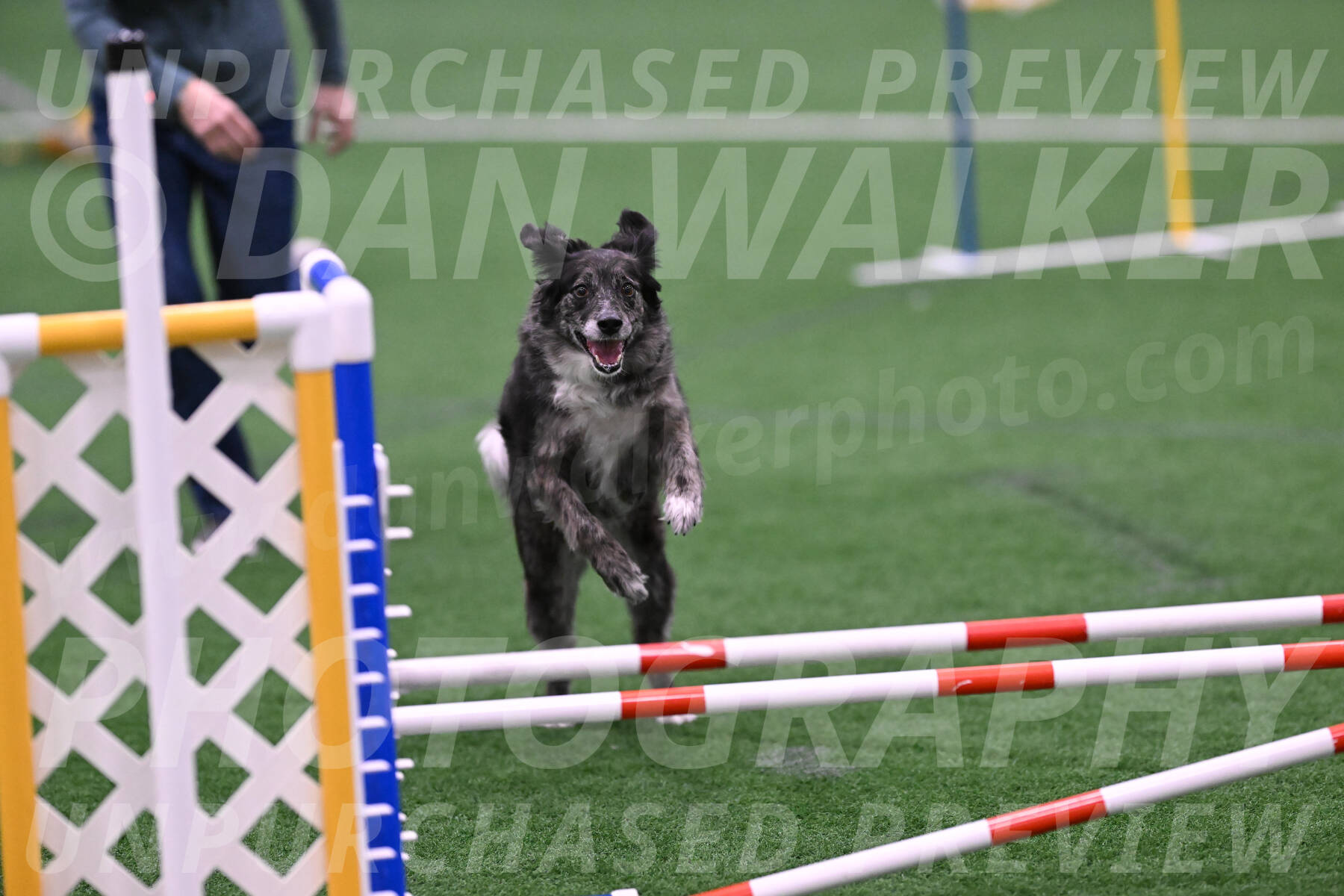 smokey-Mary-Zak-07050