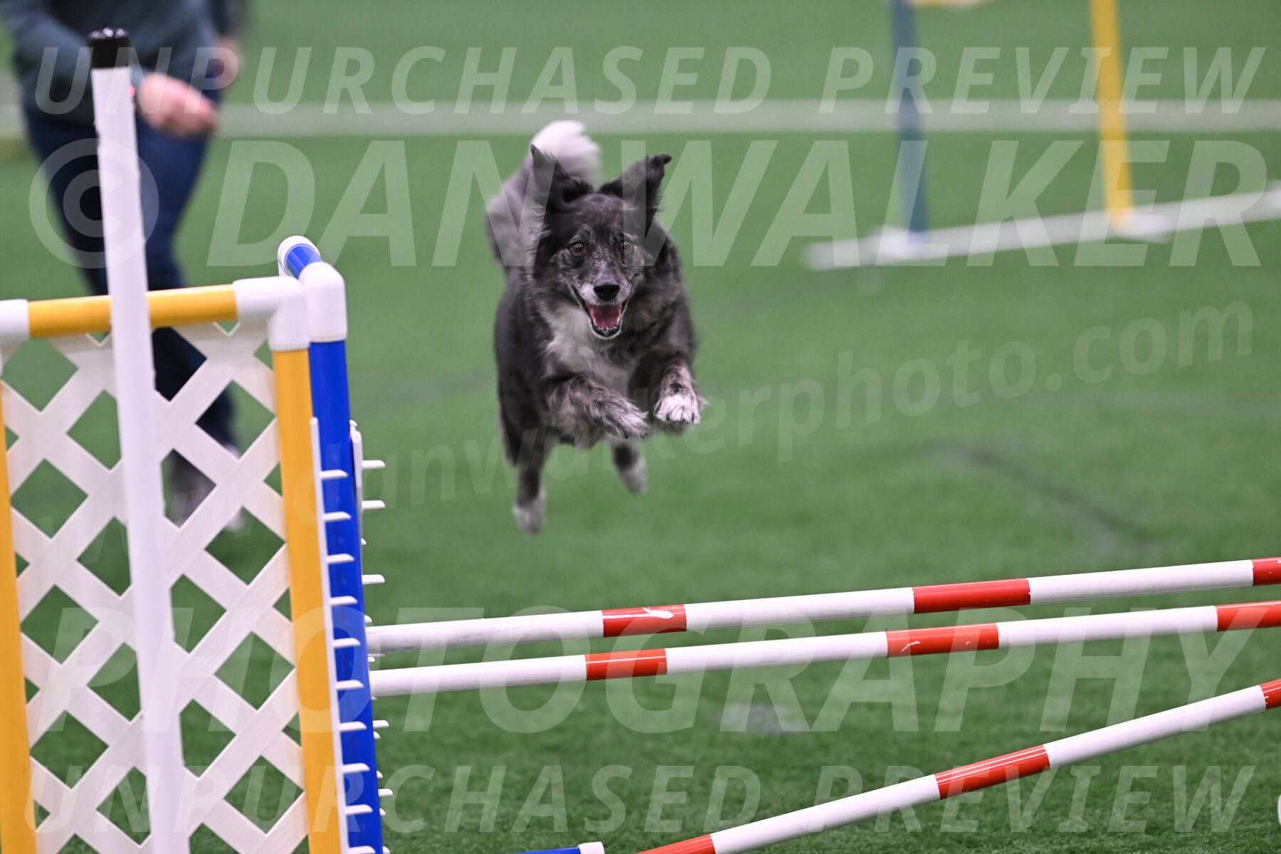 smokey-Mary-Zak-07052