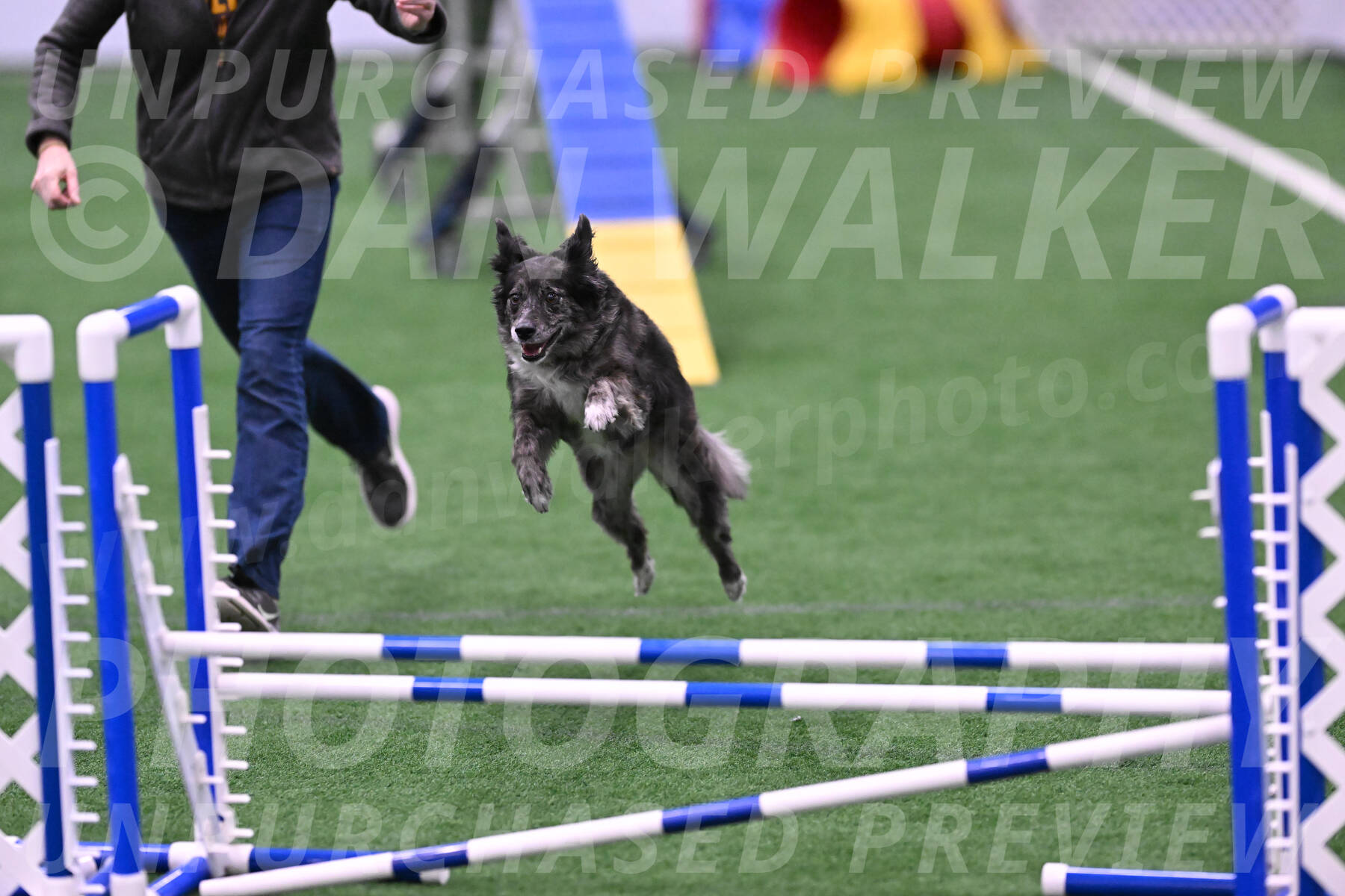 smokey-Mary-Zak-07079