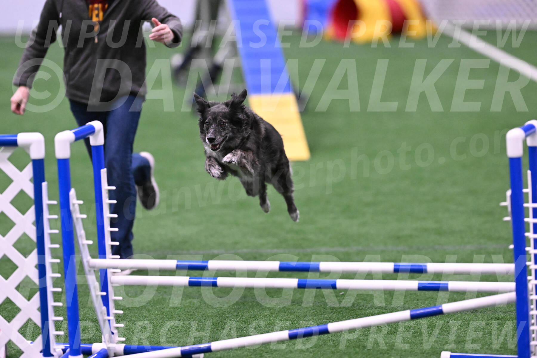 smokey-Mary-Zak-07080
