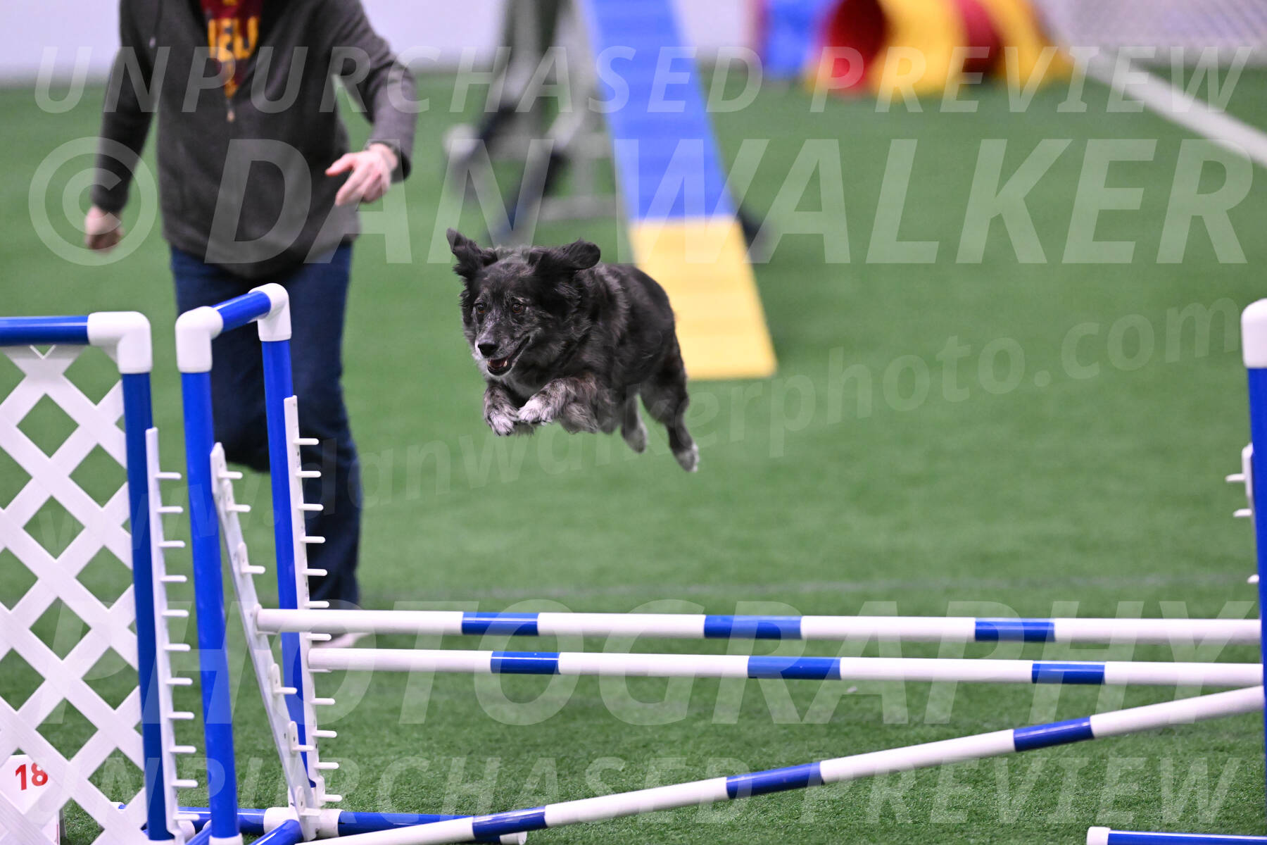 smokey-Mary-Zak-07081