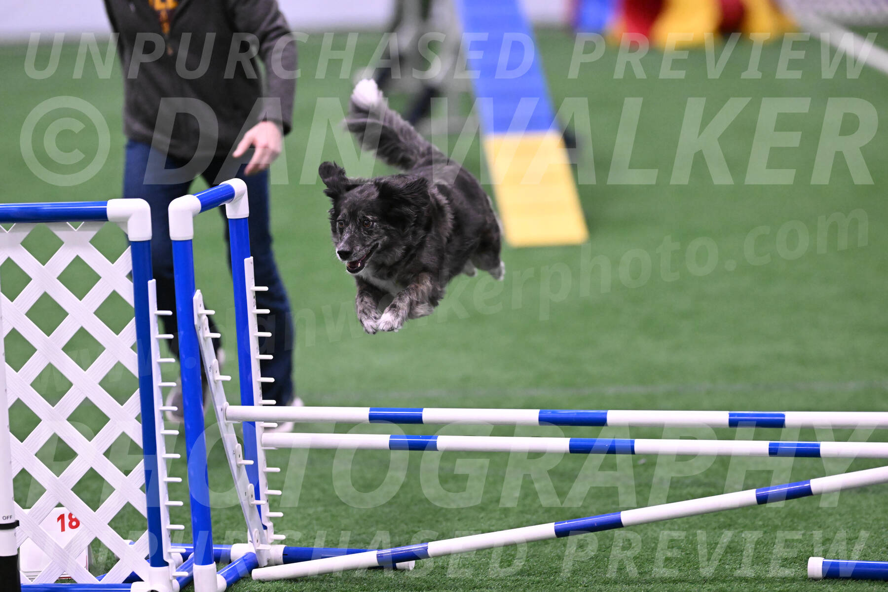 smokey-Mary-Zak-07082