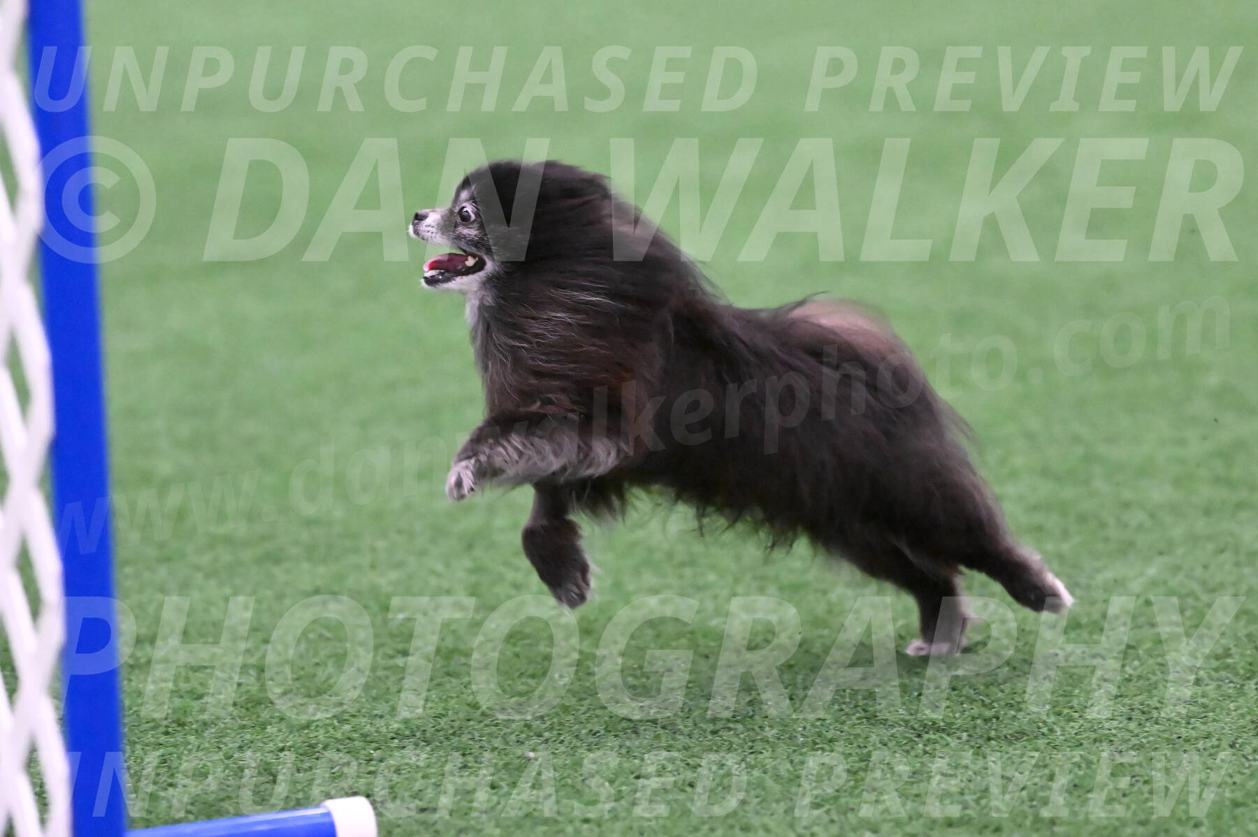 Snooker-Lisa-Ann-Koenigs-01575