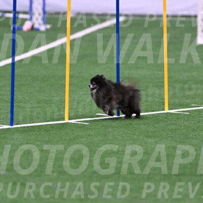 Snooker-Lisa-Ann-Koenigs-01678
