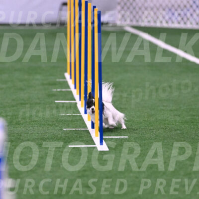 Snowy-Marie-Klika-19422