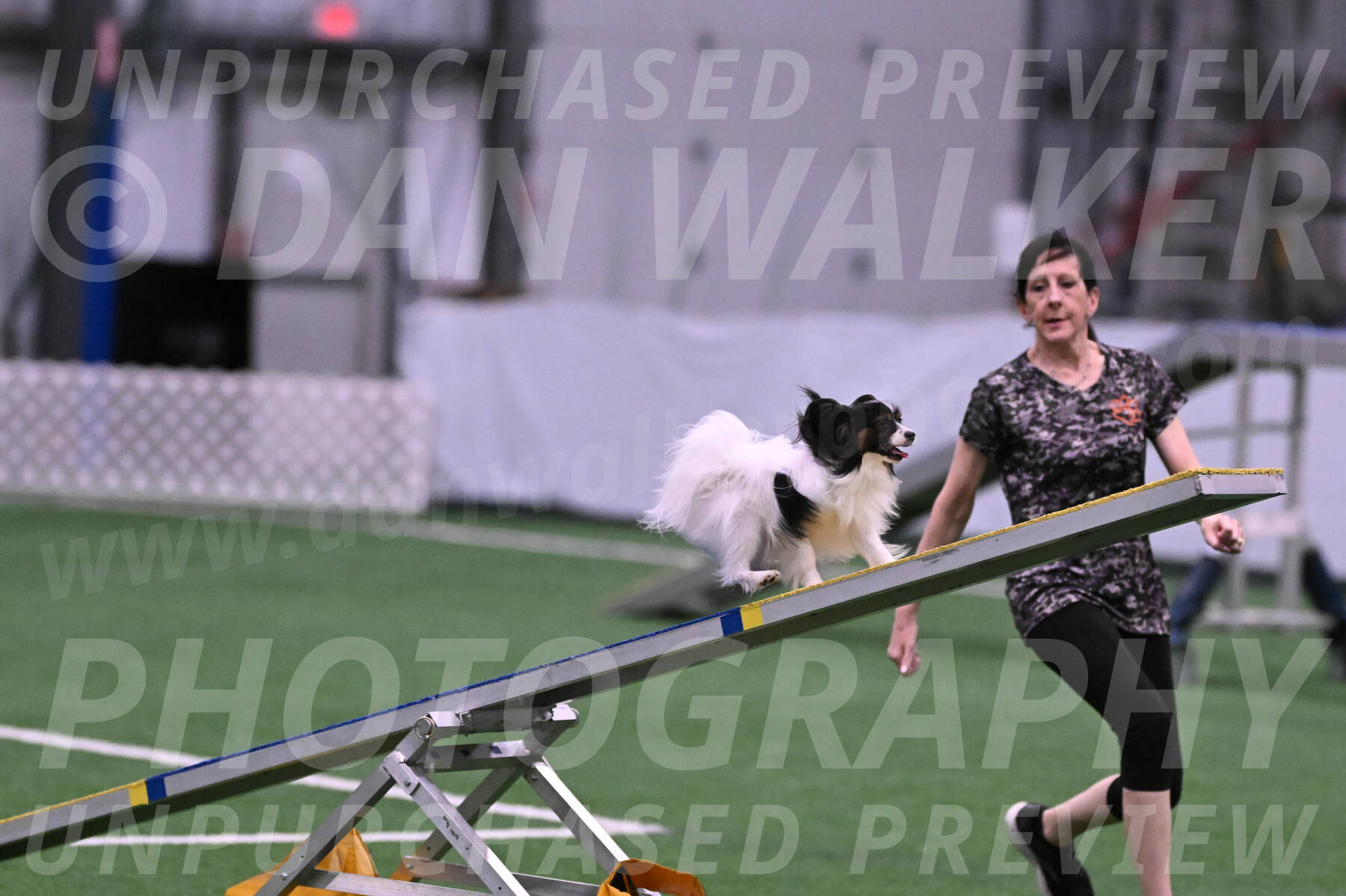 Sparky-Denise-Schneider-02377