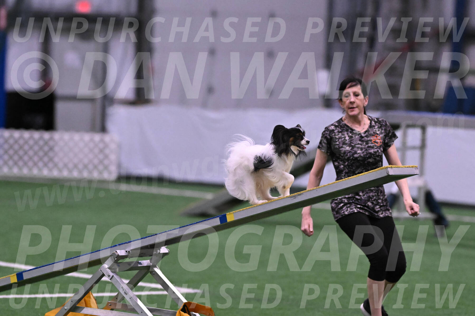 Sparky-Denise-Schneider-02378