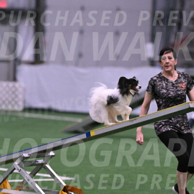 Sparky-Denise-Schneider-02378