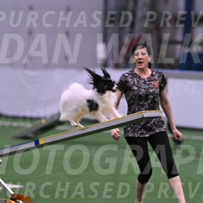 Sparky-Denise-Schneider-02380