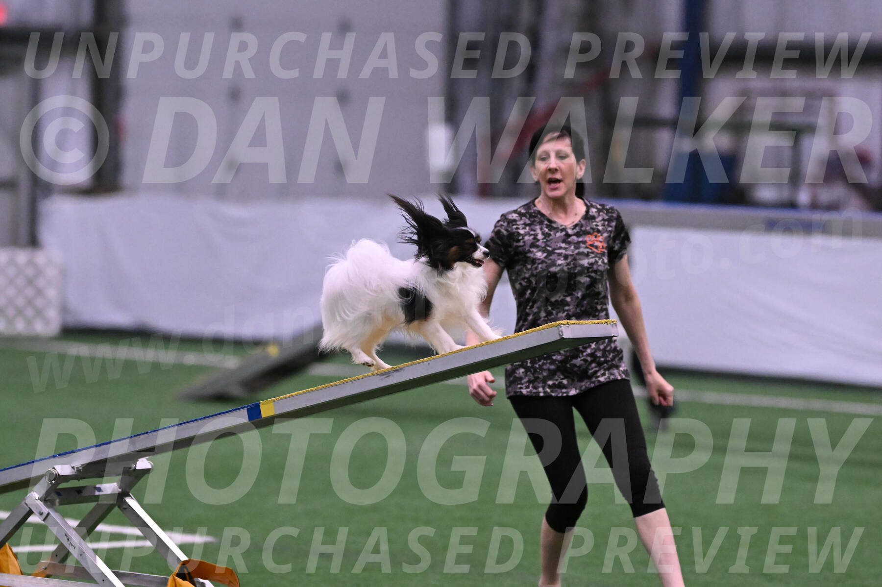 Sparky-Denise-Schneider-02380