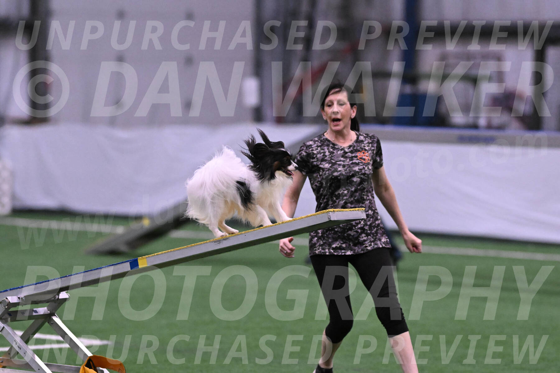 Sparky-Denise-Schneider-02381