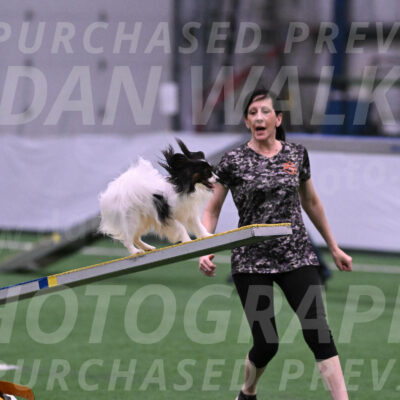 Sparky-Denise-Schneider-02381