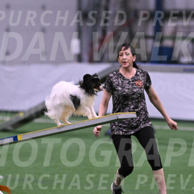Sparky-Denise-Schneider-02382