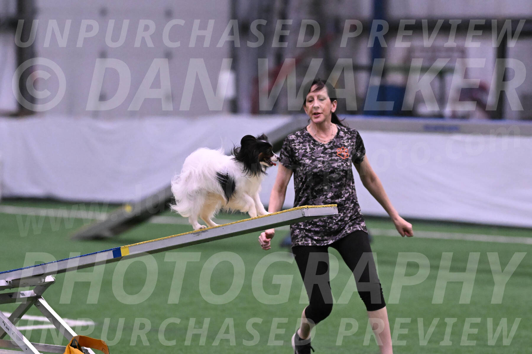 Sparky-Denise-Schneider-02382
