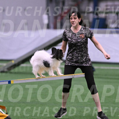 Sparky-Denise-Schneider-02383