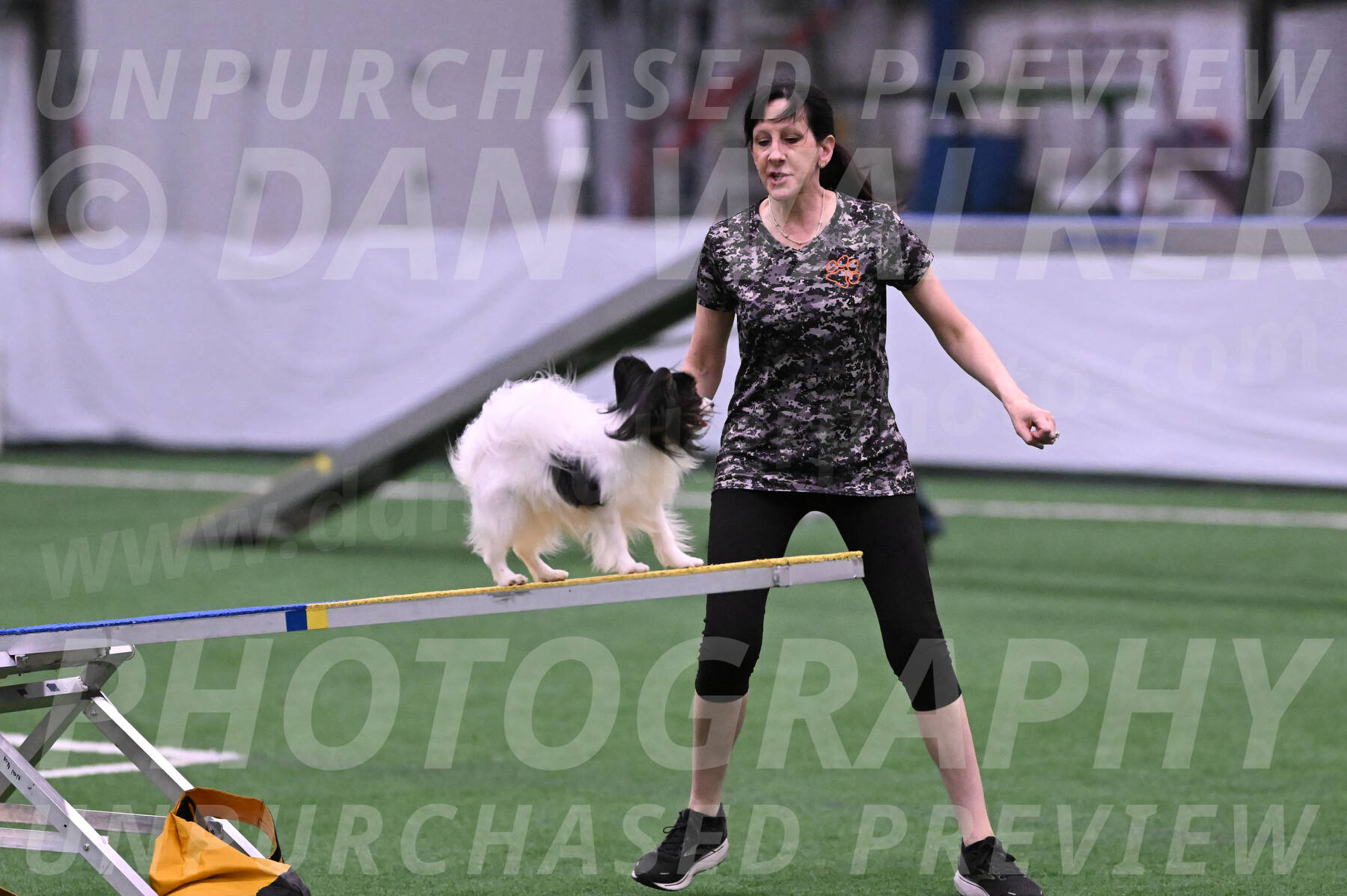 Sparky-Denise-Schneider-02383