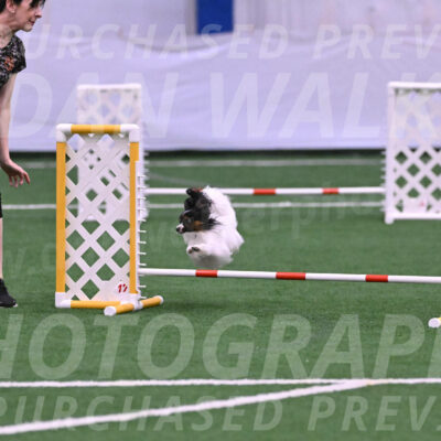 Sparky-Denise-Schneider-02407