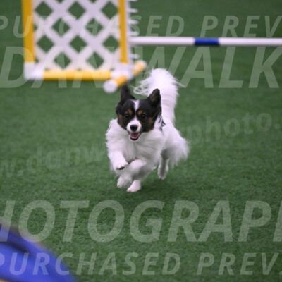 Sparky-Denise-Schneider-02507