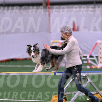 Spirit-Cheryl-A-Minichiello-20633