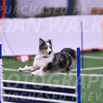 Spirit-Cheryl-A-Minichiello-20636