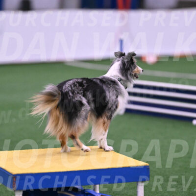 Spirit-Cheryl-A-Minichiello-20642