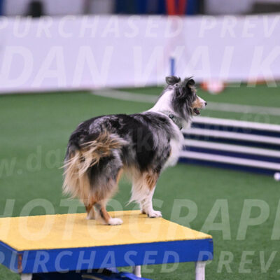 Spirit-Cheryl-A-Minichiello-20643