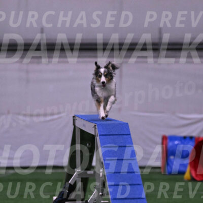 Spirit-Cheryl-A-Minichiello-20646