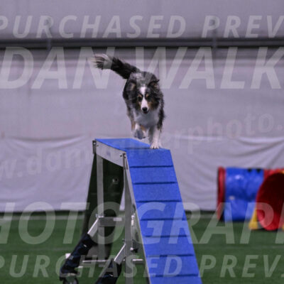 Spirit-Cheryl-A-Minichiello-20647