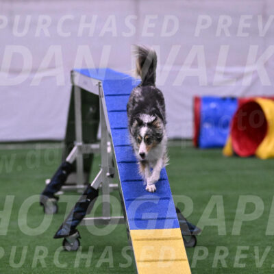 Spirit-Cheryl-A-Minichiello-20651