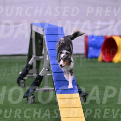 Spirit-Cheryl-A-Minichiello-20652
