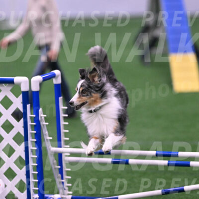 Spirit-Cheryl-A-Minichiello-20658