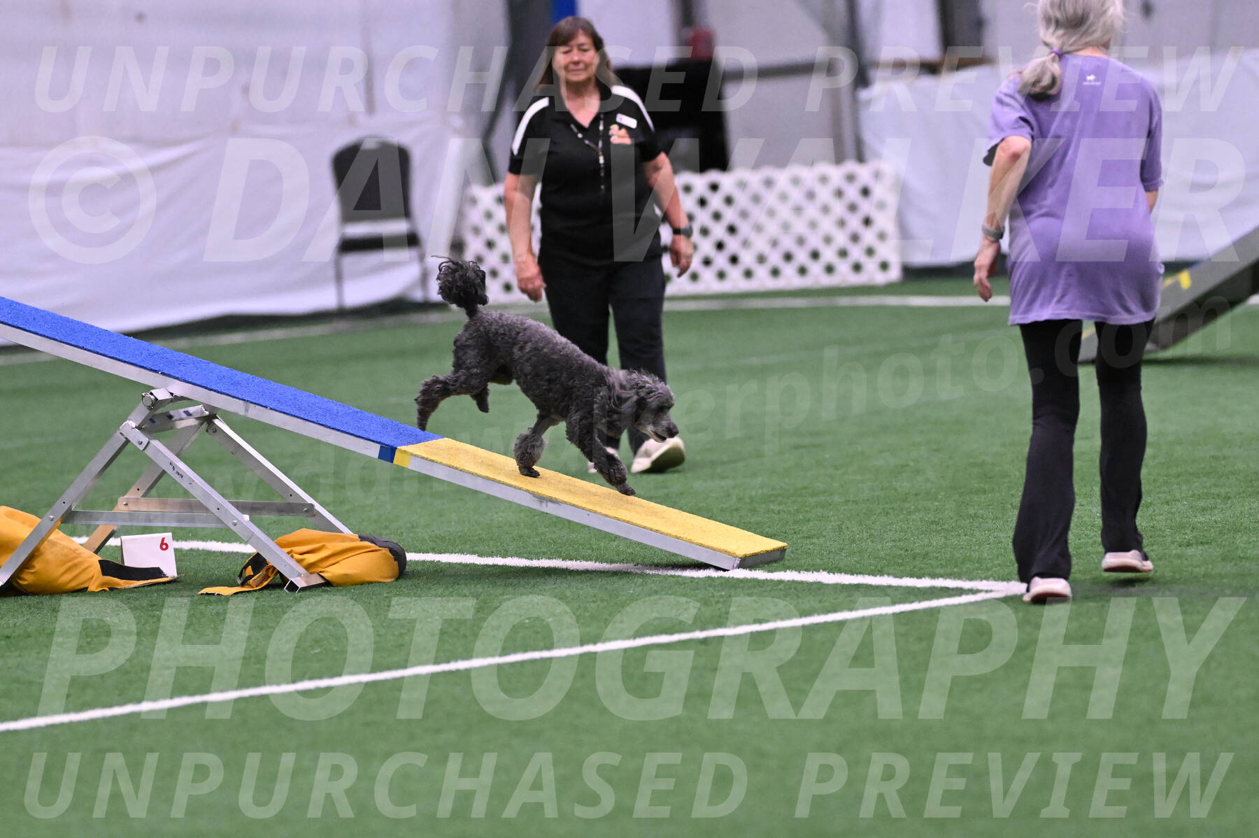 Sprig-Lori-Bieber-26853