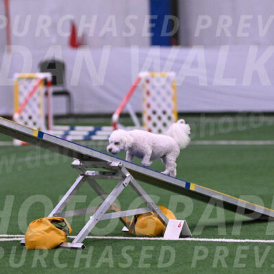 Stanley-Kayla-Baranowski-23395