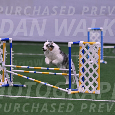 Sunny-Claudia-Brydon-27759